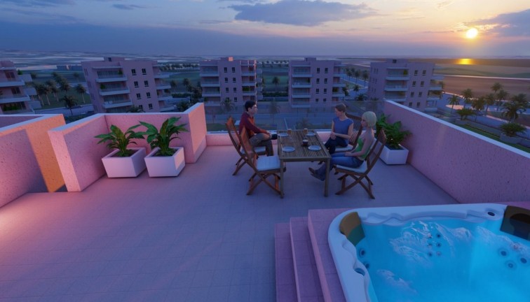 Obra nueva - Apartamento - Apartamento en el último piso - Guardamar del Segura