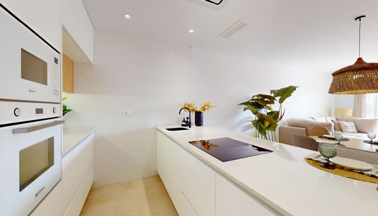 Obra nueva - Apartamento - Apartamento en el último piso - Guardamar del Segura