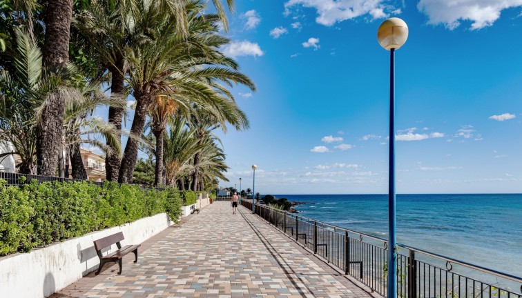 Reventa - Apartamento / piso - Punta Prima
