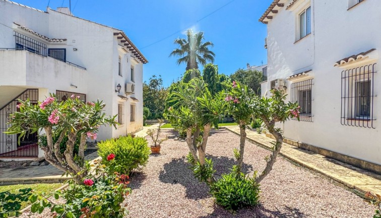 Jälleenmyynti - Bungalow - Torrevieja - Los Balcones