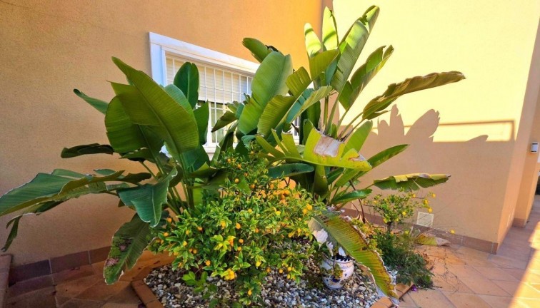 Resale - Chalet - Dehesa de campoamor - Campoamor