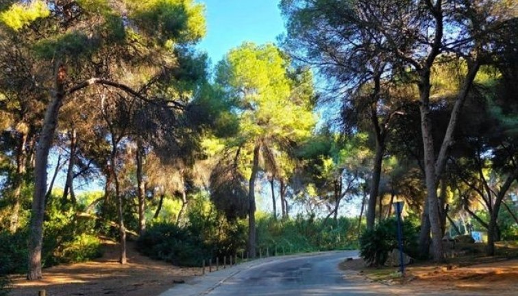 Resale - Chalet - Dehesa de campoamor - Campoamor