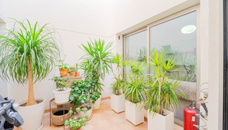 Resale - Semi-Detached - Punta Prima