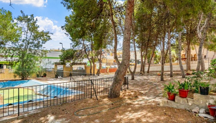 Jälleenmyynti - Erillistalo - Torrevieja - Los Balcones