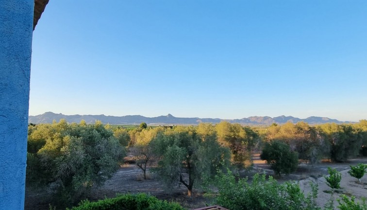 Jälleenmyynti - Erillistalo - Orihuela - Benferri