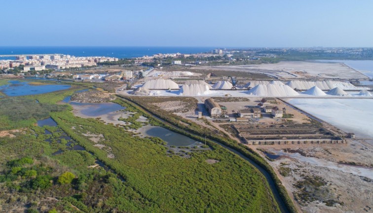 Återförsäljning - Lägenhet - Torrevieja - Acequion