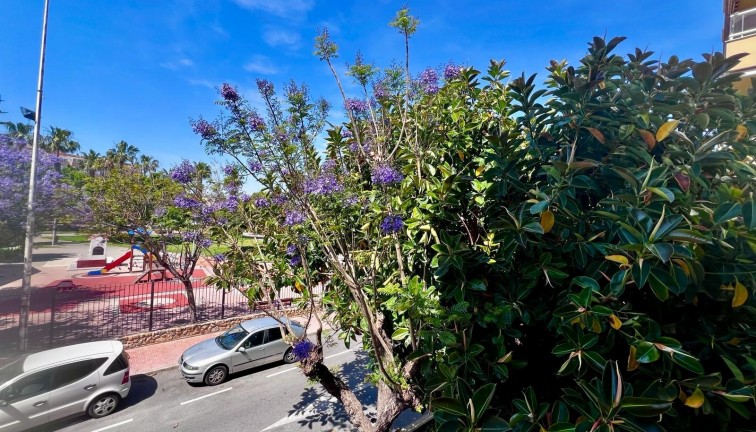 Jälleenmyynti - Asunto - Torrevieja - Acequion