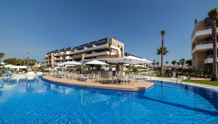 Uudistuotanto - Asunto - Orihuela (Alicante) - Orihuela