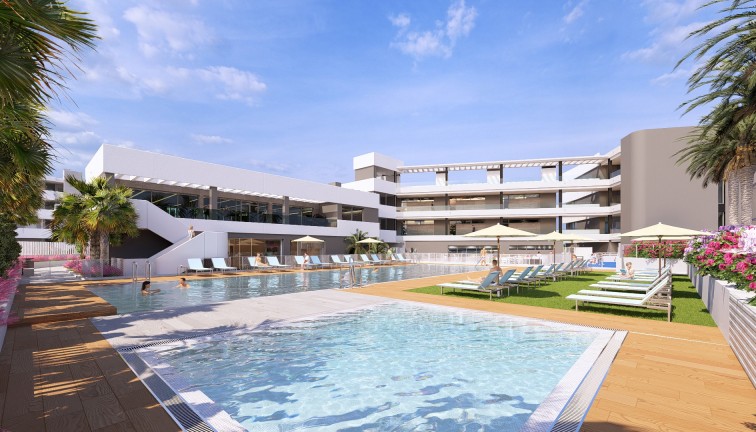Uudistuotanto - Asunto - ﻿Torrevieja (Alicante) - Torrevieja