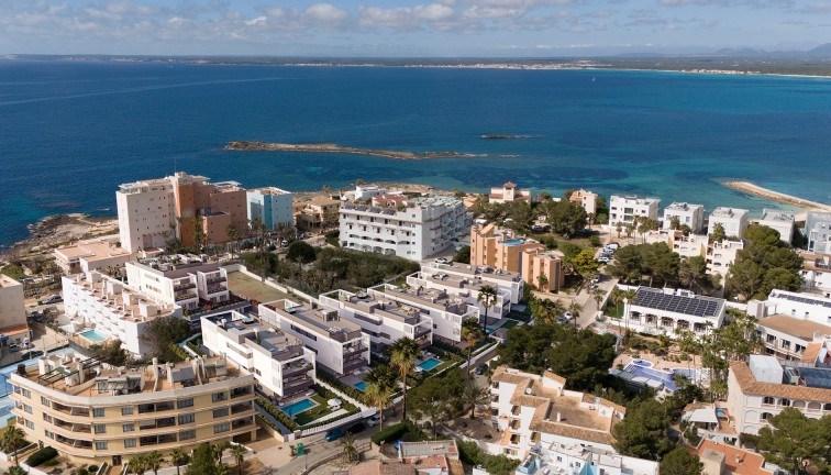 Uudistuotanto - Asunto - Colonia de Sant Jordi - Spain