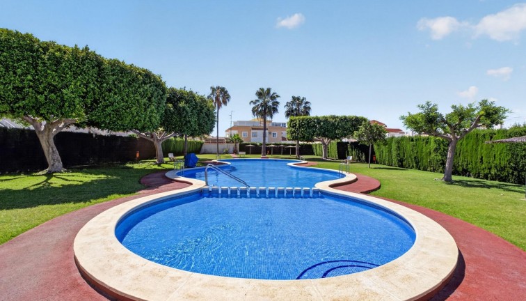Reventa - Apartamento - Apartamento Planta Baja - Torrevieja - El limonar