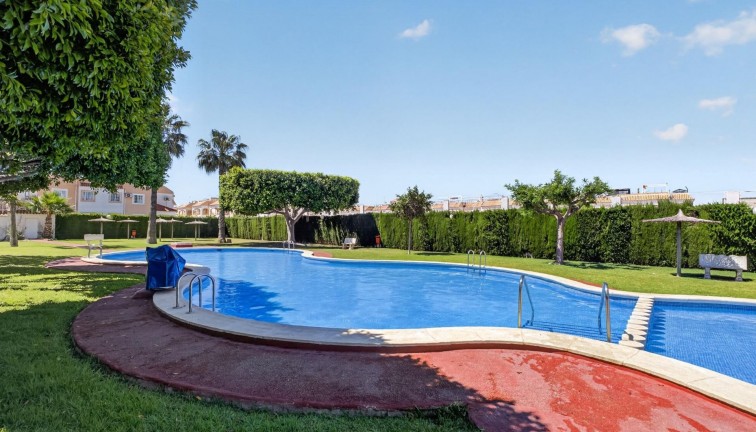 Reventa - Apartamento - Apartamento Planta Baja - Torrevieja - El limonar