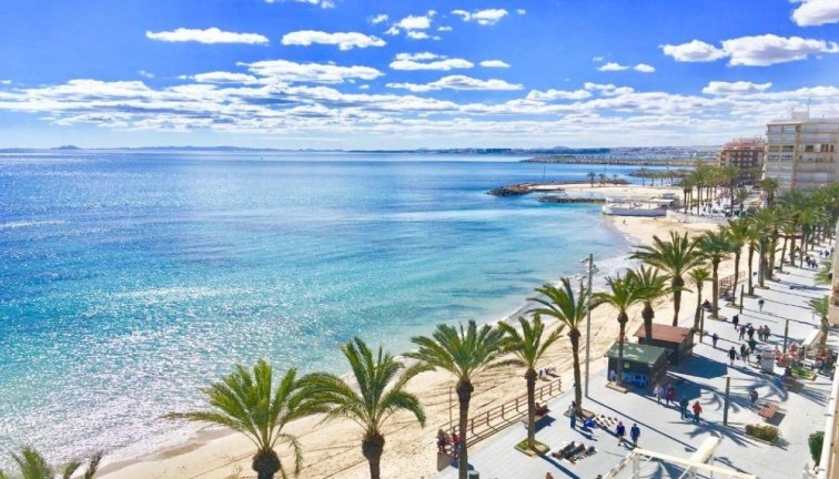 Obra nueva - Bungalow - Torrevieja - Lago Jardin
