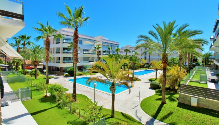 Reventa - Apartamento / piso - Villamartín - Los Dolses