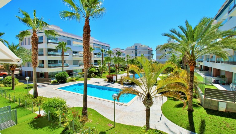 Reventa - Apartamento / piso - Villamartín - Los Dolses