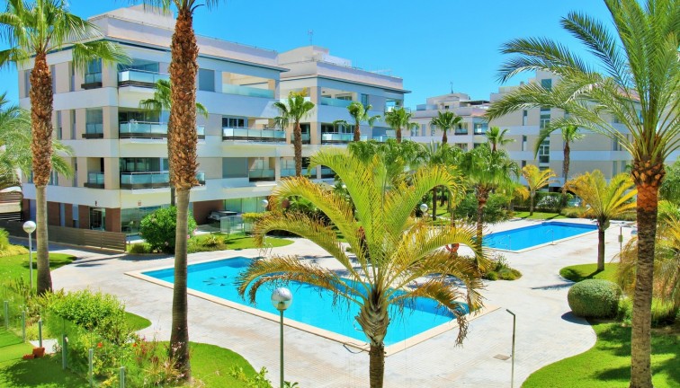 Reventa - Apartamento / piso - Villamartín - Los Dolses