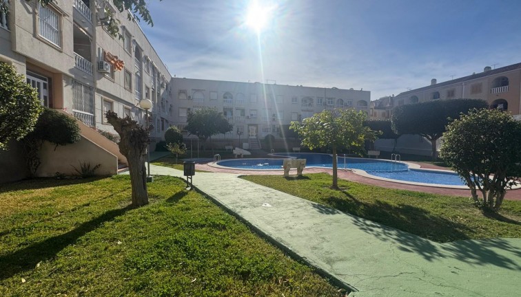 Reventa - Apartamento / piso - Torrevieja - Acequion