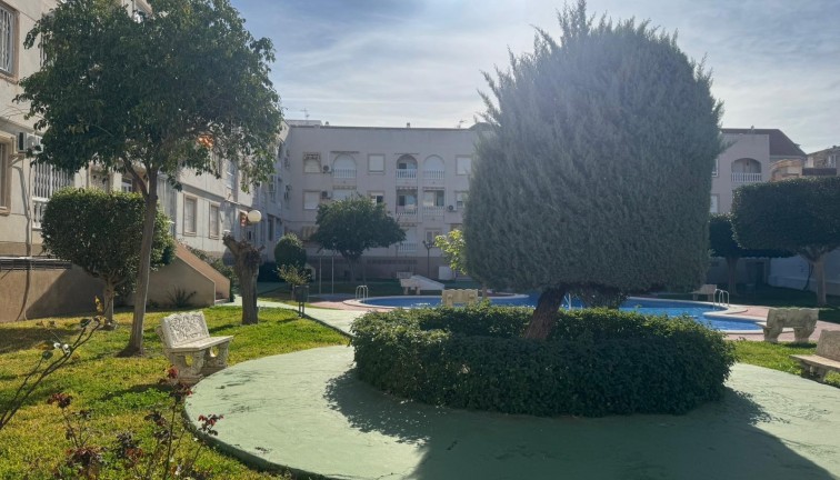 Reventa - Apartamento / piso - Torrevieja - Acequion