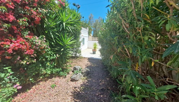 Reventa - Chalet - San Miguel de Salinas - Villamartín
