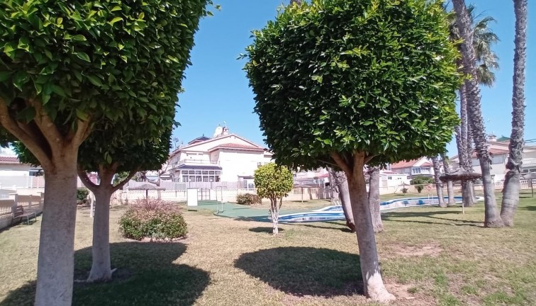 Reventa - Apartamento / piso - Orihuela Costa - Playa Flamenca