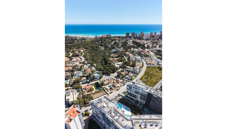 Obra nueva - Chalet - Orihuela Costa - Dehesa de campoamor