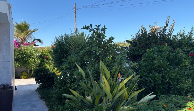 Resale - Chalet - Torrevieja - Torreta Florida