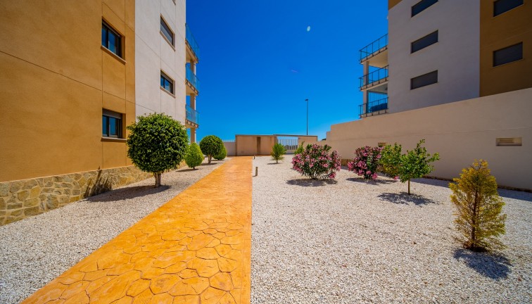 Reventa - Apartamento - Apartamento en el último piso - Orihuela Costa - Villamartín