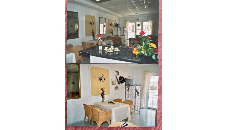 Reventa - Comercial - Guardamar del Segura