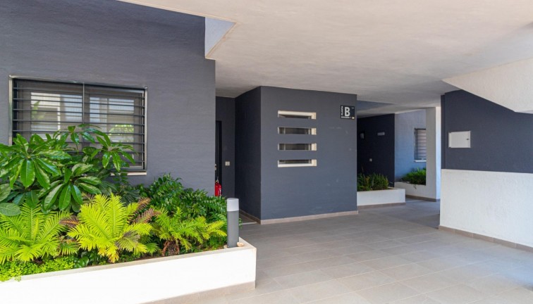Resale - Apartment - Top Floor Apartment - Orihuela Costa - Playa Flamenca