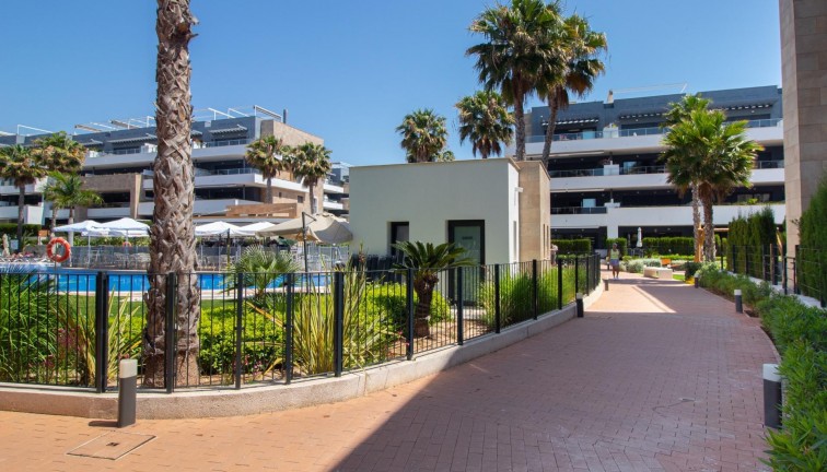 Resale - Apartment - Top Floor Apartment - Orihuela Costa - Playa Flamenca