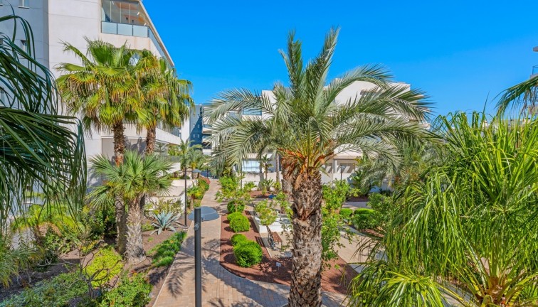 Reventa - Apartamento / piso - Orihuela Costa - Los Dolses