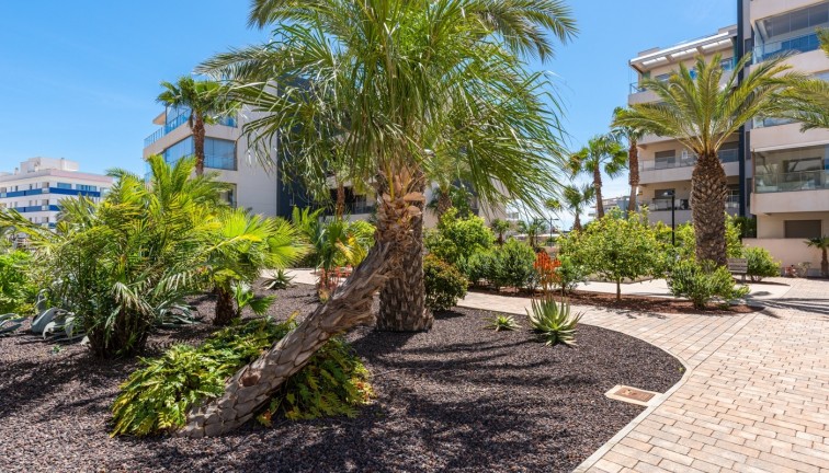 Reventa - Apartamento / piso - Orihuela Costa - Los Dolses