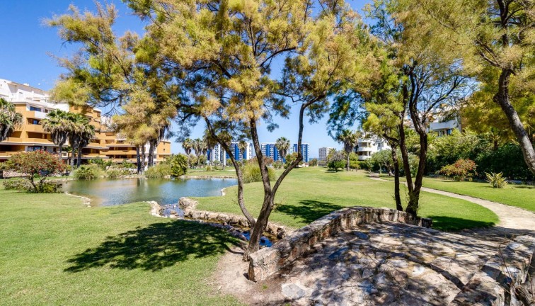 Reventa - Apartamento / piso - Torrevieja - Punta Prima