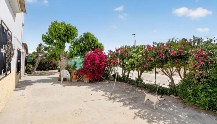 Resale - Chalet - Orihuela - Desamparados-Hurchillo-Torremendo
