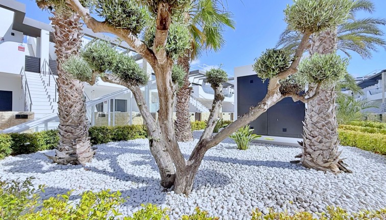 Reventa - Apartamento - Apartamento en el último piso - Orihuela Costa - Punta Prima