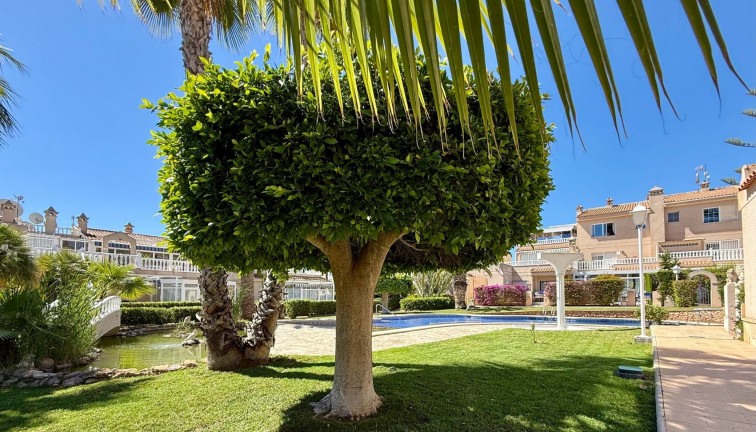 Resale - Apartment - Orihuela Costa - Playa Flamenca