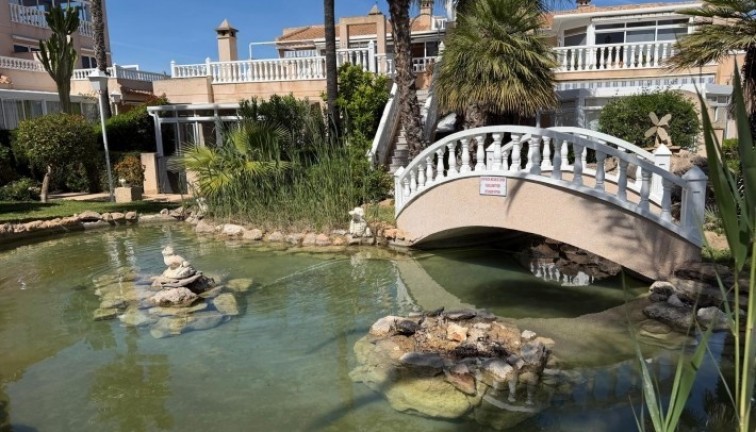 Resale - Apartment - Orihuela Costa - Playa Flamenca