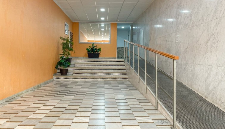 Resale - Apartment - Torrevieja - Acequion