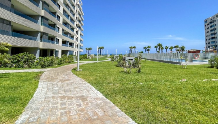 Jälleenmyynti - Asunto - Orihuela Costa - Punta Prima