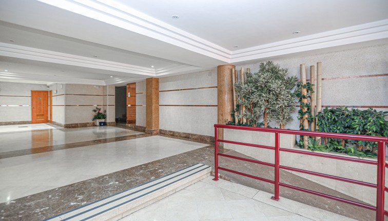 Reventa - Apartamento / piso - La Mata - LA MATA
