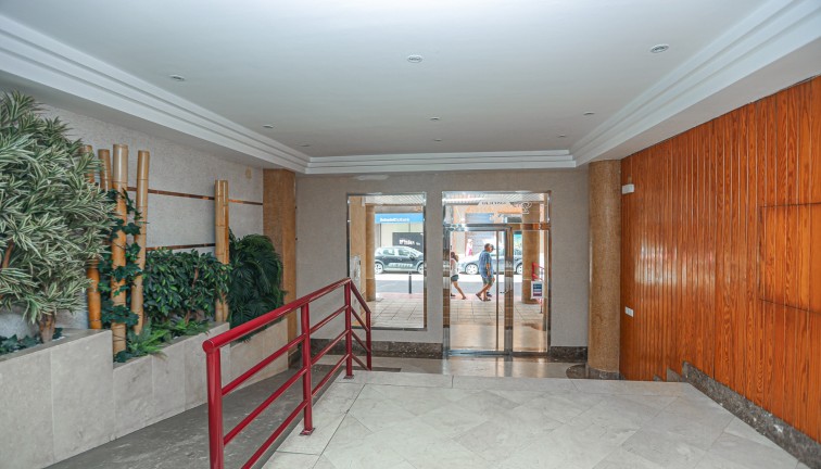 Reventa - Apartamento / piso - La Mata - LA MATA