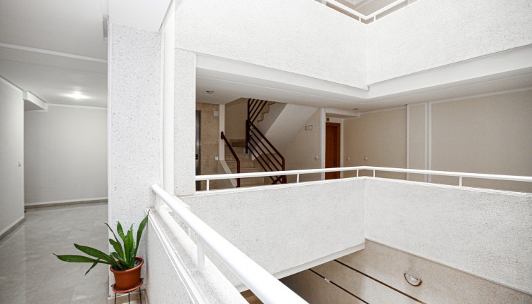 Reventa - Apartamento / piso - La Mata - LA MATA