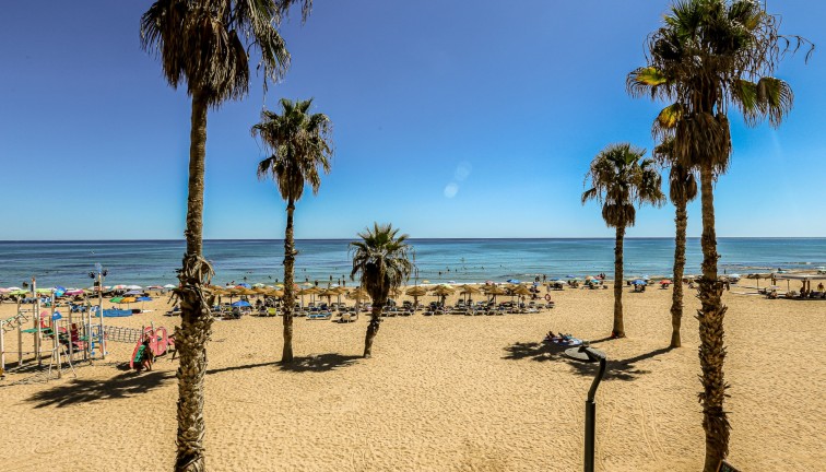 Reventa - Apartamento / piso - La Mata - LA MATA