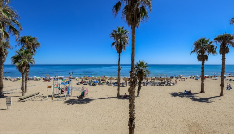 Reventa - Apartamento / piso - La Mata - LA MATA