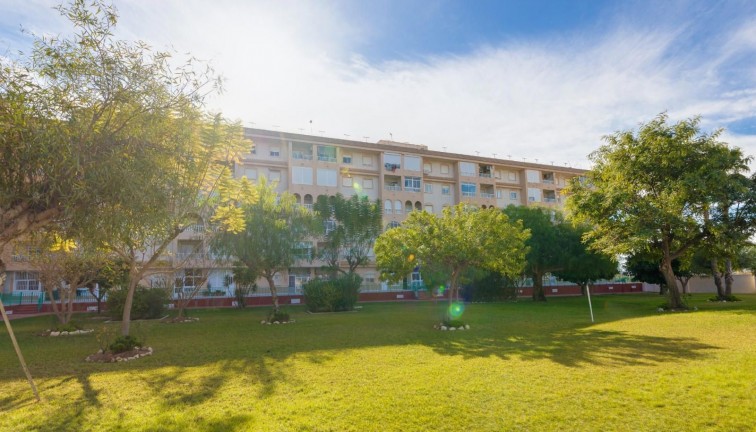 Resale - Apartment - Torrevieja