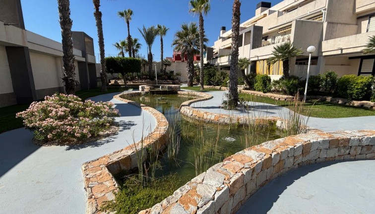 Jälleenmyynti - Asunto - Torrevieja - LA MATA
