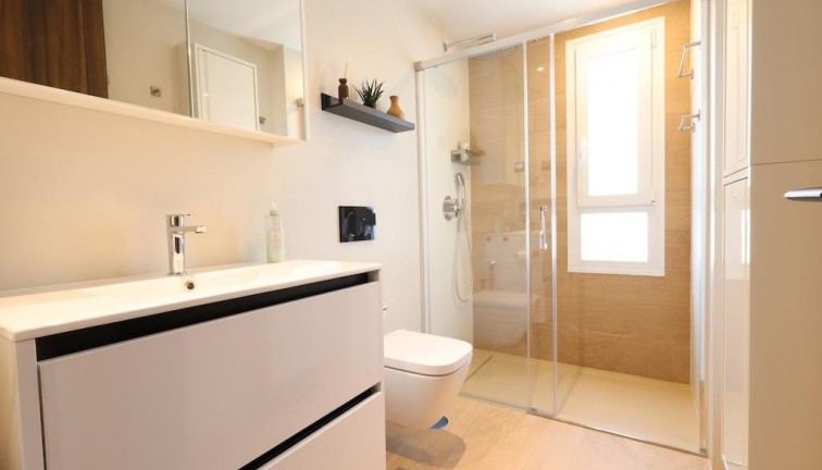 Resale - Apartment - Top Floor Apartment - Algorfa - Comunidad valenciana