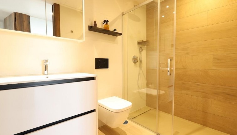 Resale - Apartment - Top Floor Apartment - Algorfa - Comunidad valenciana