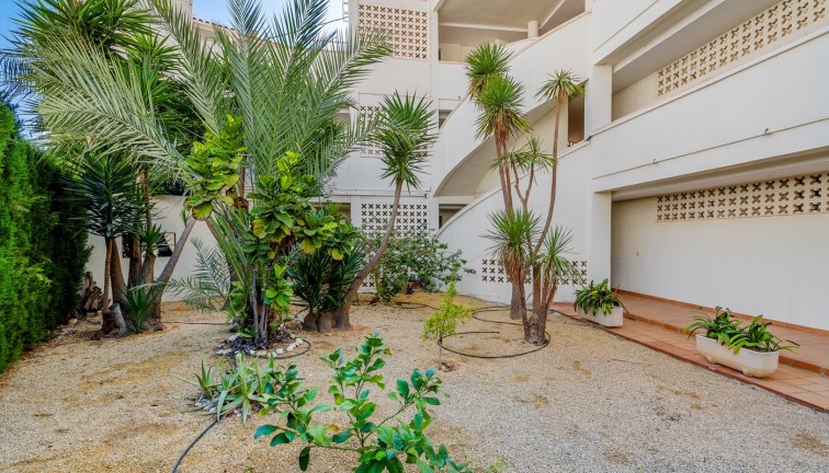 Reventa - Apartamento / piso - Altea