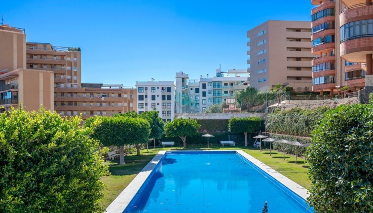 Resale - Apartment - Arenales del Sol - Segunda linea playa
